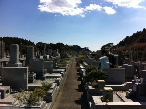 Photo 3月 27, 4 55 20 午後