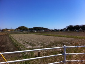 Photo 3月 27, 4 54 09 午後