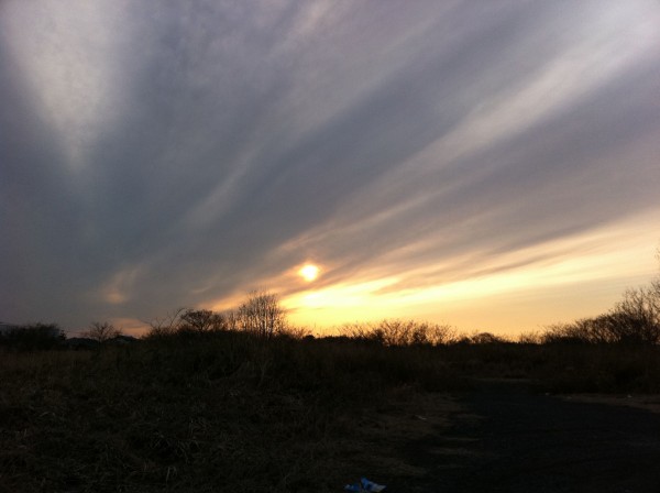 Photo 4月 04, 9 09 44 午前
