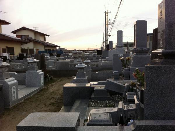 Photo 4月 04, 9 08 12 午前