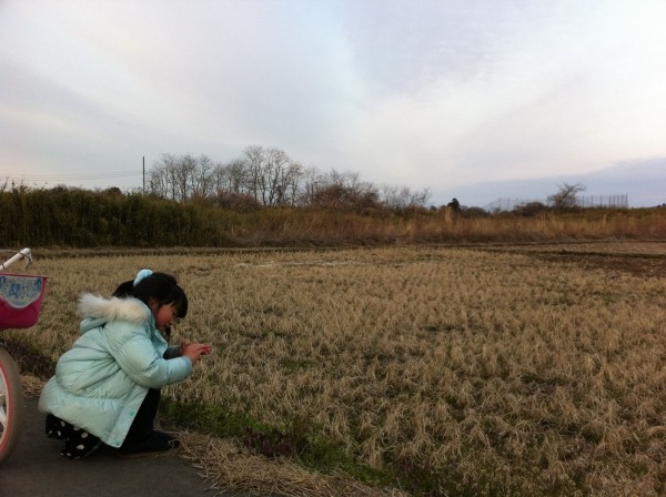 Photo 4月 04, 9 09 59 午前